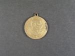 Pamětní medaile na císařské manévry konané v Hornu v Dolním Rakousku 1901