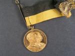 Pamětní medaile na císařské manévry konané u Velkého Meziříčí 1909