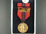 Pamětní medaile Odkaz Ploštiny