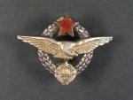 Jugoslávský letecký odznak, punc Ag