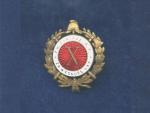 Odznak za 10 let služby v hasičském sboru