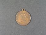 Pamětní medaile na velké podzimní manévry v Uhrách 1893