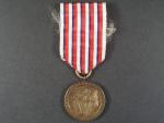 Pamětní medaile manifestačního sjezdu dobrovolců let 1918-19