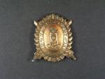 Bronzový čestný odznak krále Karla IV. - Za budování brannosti
