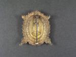 Bronzový čestný odznak krále Karla IV. - Za budování brannosti