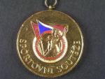 Zlatá medaile z II. celostátní spartakiády 1960, pozlacený bronz, smalty