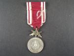 Stříbrná medaile krále Karla IV - Za věrnost a branné zásluhy + ministužka