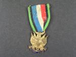 Medaile veteránů války 1870-71, 1. stupeň