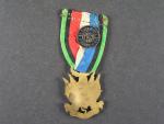 Medaile veteránů války 1870-71, 1. stupeň
