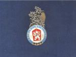 Odznak kriminální služby, česká verze