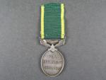 Medaile za efektivní službu, Jiří VI.(Territorial), Ag, na hraně opis