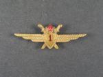 Odznak třídního specialisty letectva 1954-68. Pilot 1tř., č.0781