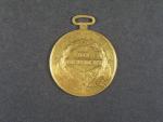 Zlatá medaile za statečnost, 1866-1914, Au, 27.79 g