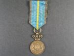 Bronzová medaile za věrné služby