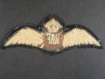 Nášivka RAF, britský pilotní odznak, období II. sv. války