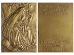 Dillens Jul. - AE medaile IIIe CONGRES MONDIAL DE CARDIOLOGIE BRUXELLES 1958, 71 x 50 mm