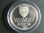 100 Sk 1993, Vznik SR