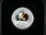 Stříbrná pamětní 1 dolarová mince k mileniu 2000, 1oz