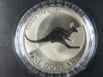 1 Dollars - 1 Oz Ag - Kangaroo 2004, kvalita proof, Ag 0.999, 31,1g, KM 723