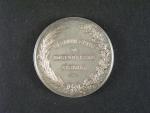 Stříbrná medaile F.J.I. Náhrada státu za hospodářské zásluhy, Ag, průměr 40 mm
