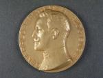 Bronzová pamětní medaile arcivévoda Eugen 1915, průměr 60 mm