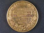 Pozlacená medaile upomínka na návštěvu F.J.I. v Praze 1891, průměr 55 mm, med. J. CH.