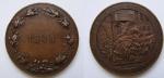 Rakousko (Austria). Pamětní bronzová revoluční medaile 1898, průměr 49 mm