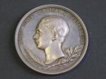 Ag  medaile 1852, (RADNITZKY), NÁVRAT CÍSAŘE Z MAĎARSKA -  VÍDEŇ, F.J.I