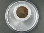 2000 Kč 2000, milénium (mince s hologramem), Au/Ag, drobné skvrnky